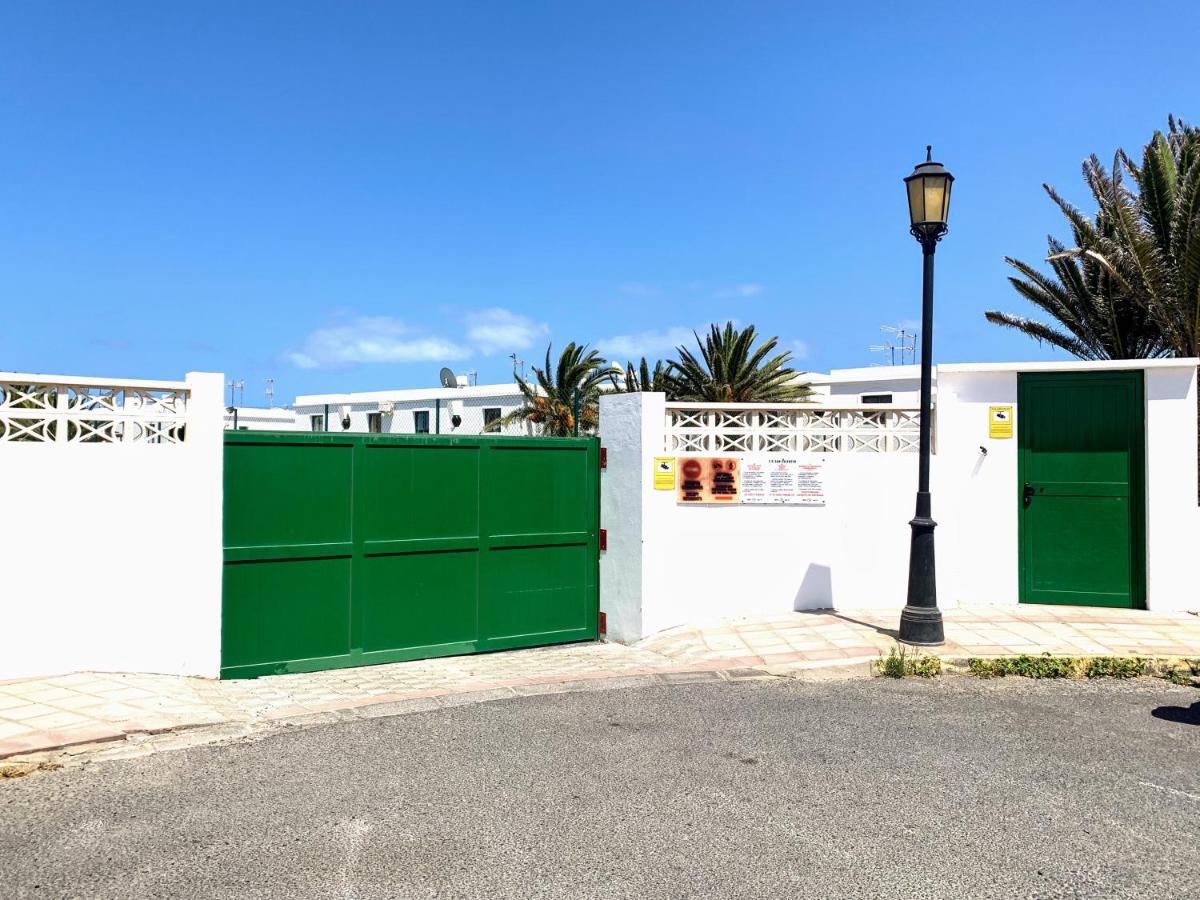 Buganvilla كوراليهو المظهر الخارجي الصورة